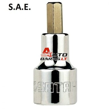 SATA 1/2" Galvutė su 50L IMBUS (Colinė sistema)