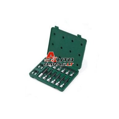 1/4" + 1/2" Galvučių su antgaliais rinkinys (HEX) 18vnt.