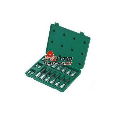 1/4" + 1/2" Galvučių su antgaliais rinkinys (SPLINE) 18vnt.
