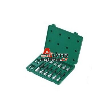 1/4" + 1/2" Galvučių su antgaliais rinkinys (TORX) 18vnt.