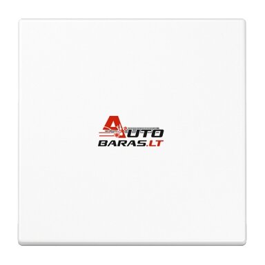 1 kl. apdaila su indikatoriumi LS990 JUNG LS990KO5WW (balta) 1 kl. apdaila su indikatoriumi LS990 JUNG LS990KO5WW (balta)