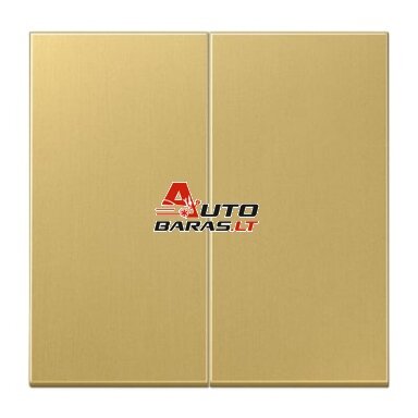 2 gang cover JUNG ME2995C (brass color) 2 gang cover JUNG ME2995C (brass color)