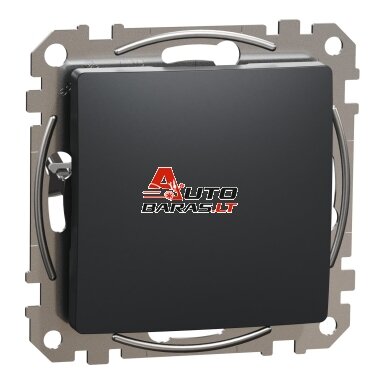 Aklė Schneider Electric Sedna Design SDD114904 (antracitas)