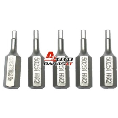 SATA Antgalis IMBUS  1/4" (6.3mm), 5vnt.