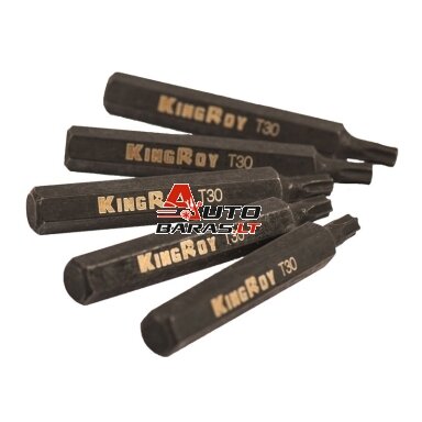Antgalis TORX, (10mm) 5vnt Antgalis TORX, (10mm) 5vnt