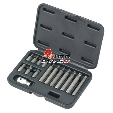 Antgalių rinkinys TORX 15vnt.