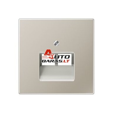 Computer socket cover JUNG ES2969-2UA (stainless steel, 2xRJ45)