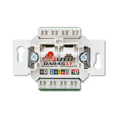 Computer socket JUNG EPUAE8-8UPOK6US (2xRJ45 CAT 6) Computer socket JUNG EPUAE8-8UPOK6US (2xRJ45 CAT 6)