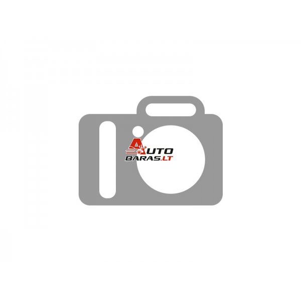 DAWELL INDUKCINIS KAITINTUVAS DHI-120E LKW 10 KW 1