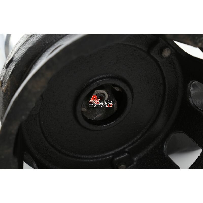 Drenažinis siurblys 3100W 220V/50Hz su smulkintuvu 4