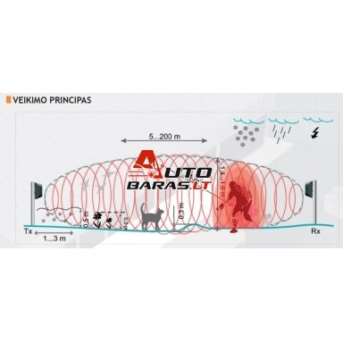 FORTEZA FMC10 (50m) FORTEZA FMC10 (50m)