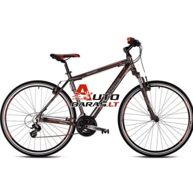 Kalnų dviratis Dviratis Drag ZX Base 21,5"