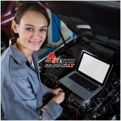 Kaip išsirinkti BMW diagnostikos įranga? Kaip išsirinkti BMW diagnostikos įranga?
