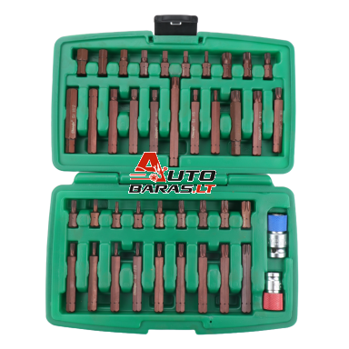 Keičiamų antgalių rinkinys (IMBUS, TORX,SPLINE) 41vnt. S2 Keičiamų antgalių rinkinys (IMBUS, TORX,SPLINE) 41vnt. S2