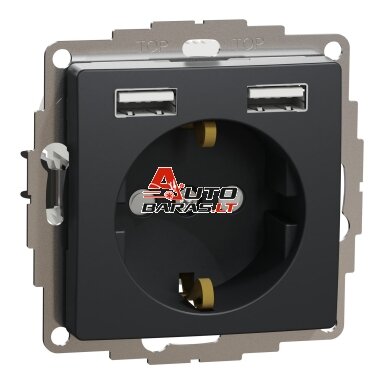 Kištukinis lizdas su įžeminimu Schneider Electric Sedna Design SDD114052 (antracitas, 2xUSB-A)