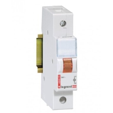 LED indikatorius ant DIN Legrand 604079 (oranžinis, 230V, TX3 1 mod.)