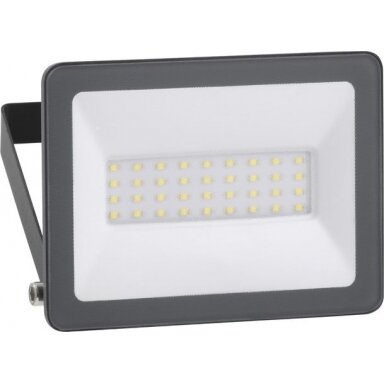 LED prožektorius Mureva 30W