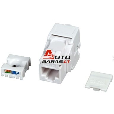 Lizdas RJ45 INFRALAN UTP 6A cat Lizdas RJ45 INFRALAN UTP 6A cat