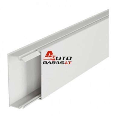 Lovelis kabeliui 50 x 20 Legrand 638160 (20)