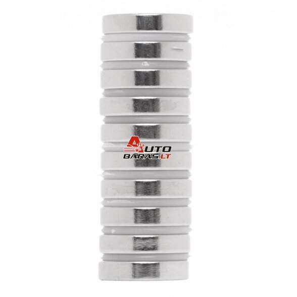 KRAFTDELE Neodimo magnetas 14x3mm (10vnt) 2