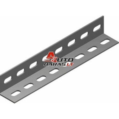 Perforuotas kampuotis KTD25H25/2 (1.2mm, L-2m) BAKS