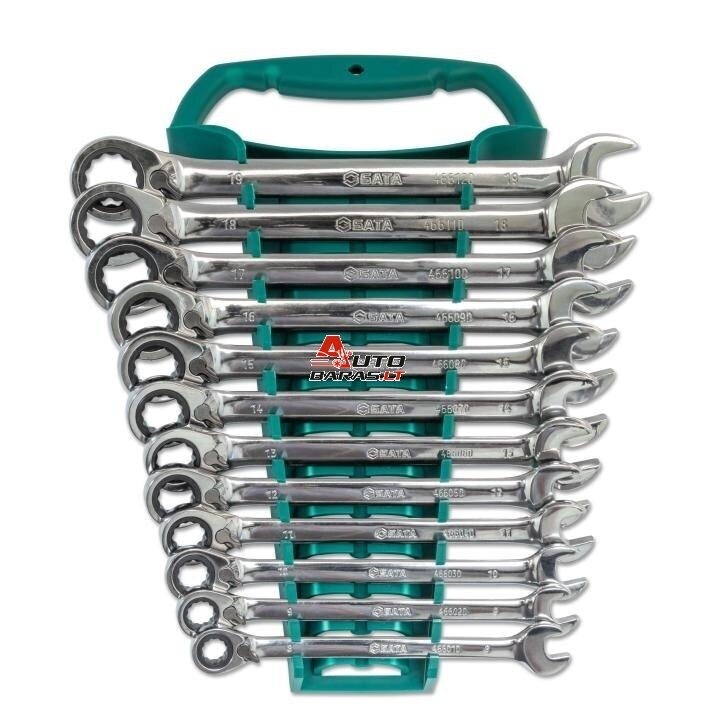 Raktų su reversine terkšle rinkinys (12vnt)(8-19mm) 1