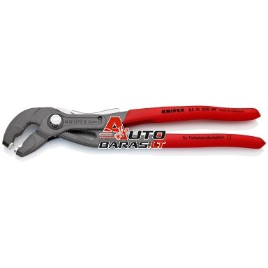 Replės spyruoklinėms sąvaržoms 250 mm KNIPEX, su užraktu ir fiksatoriumi Replės spyruoklinėms sąvaržoms 250 mm KNIPEX, su užraktu ir fiksatoriumi