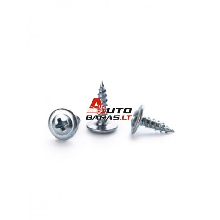 Savisriegis varžtas 4.2/25mm (25 vnt.)