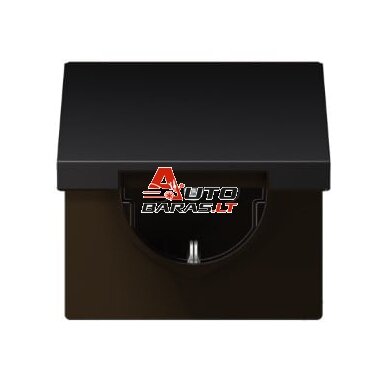 Socket with grounding JUNG LS AL1520KLD (black color)