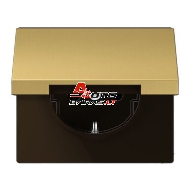 Socket with lid JUNG ME1520KLC (black, brass color)