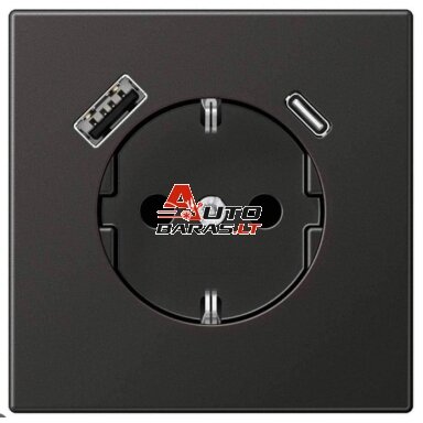 Socket with USB JUNG LS1520AN (anthracite color, 16A/250V)