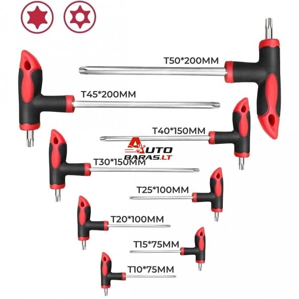 T-tipo šešiakampių raktų rinkinys TORX ir HEX (apvalia galvute) 16vnt. 3