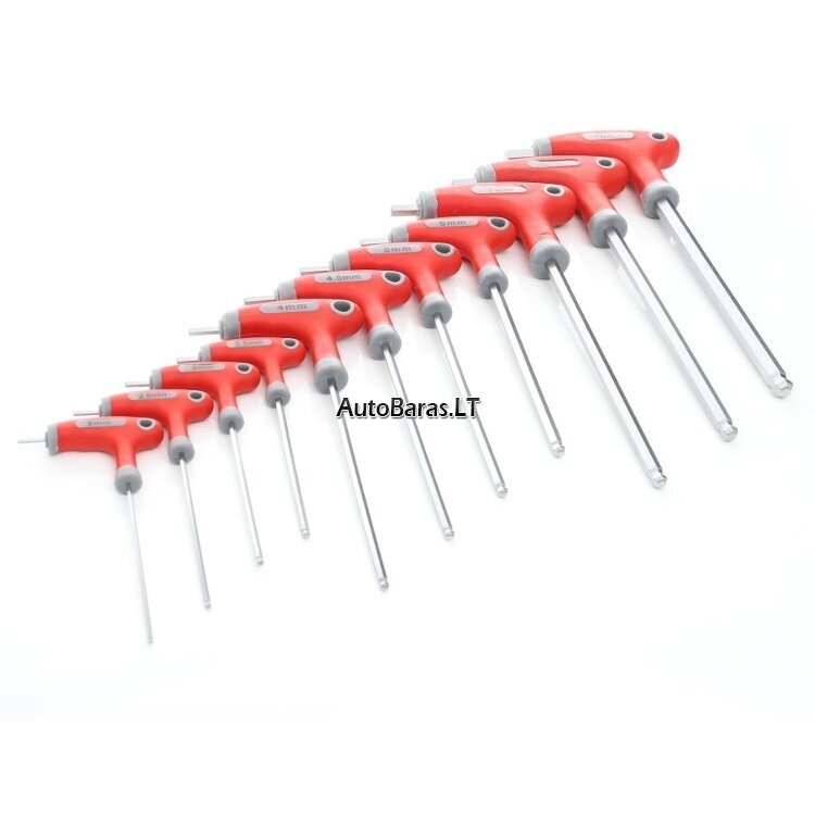 'T' tipo šešiakamių raktų rinkinys (apvalia galvute) (11vnt)(2-10mm) 1
