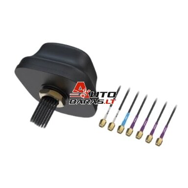 Teltonika antena PR1KC640 5G LTE (4xSMA)