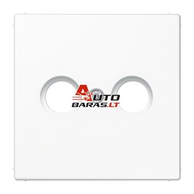 TV/R antenos lizdo / mechanizmo apdaila LS990 JUNG LS990TVWW (balta)