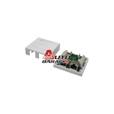 Virštinkinė rozetė LK-WP-037 (2x RJ45, FTP, Cat.5e, krosuojama) Virštinkinė rozetė LK-WP-037 (2x RJ45, FTP, Cat.5e, krosuojama)